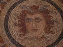 Medusa?